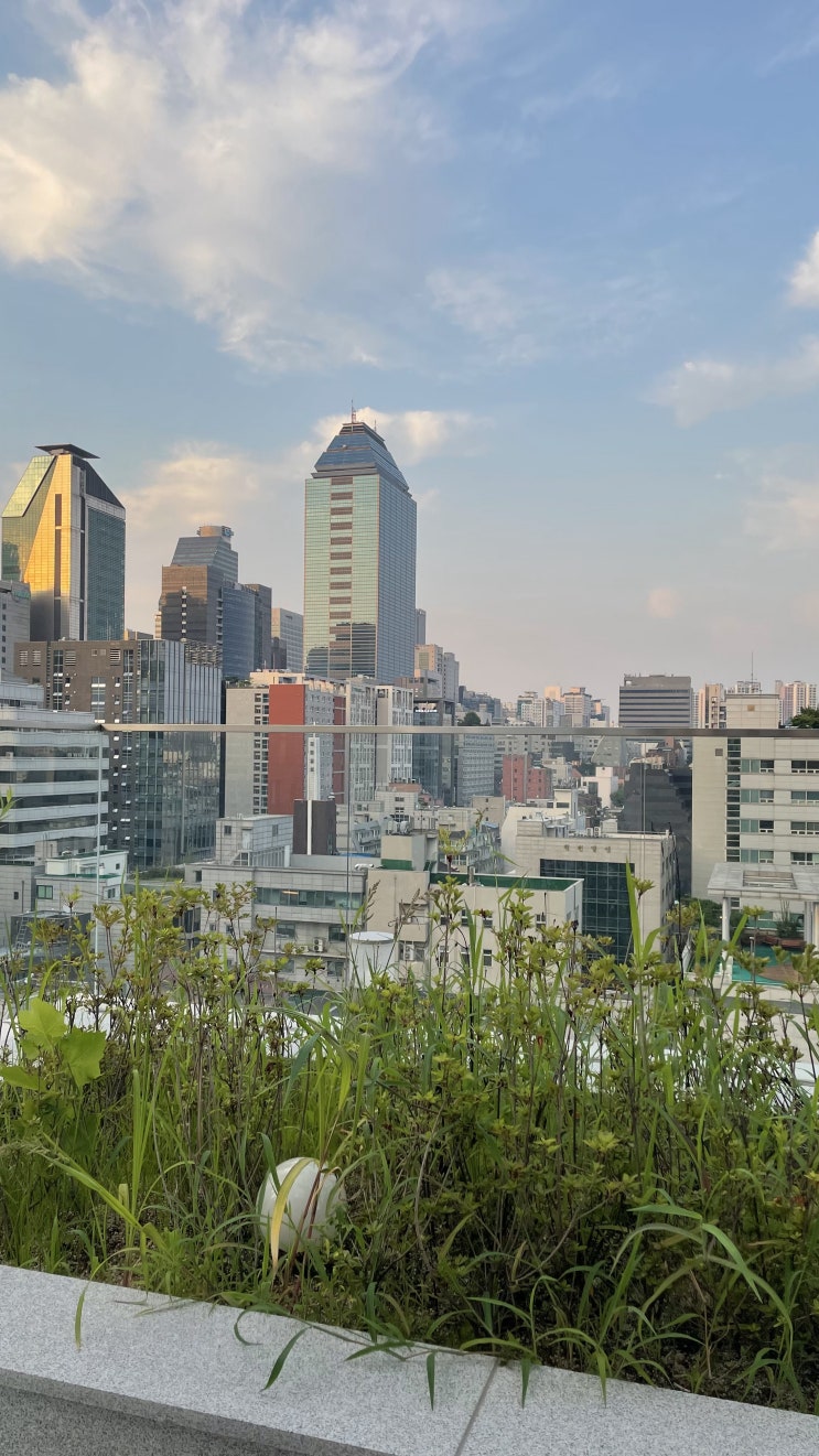  강남 | 노을보기 좋은 루프탑 카페 셀렉티드마롱 주차