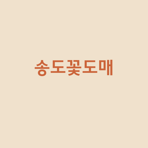  송도꽃도매 동춘동꽃집