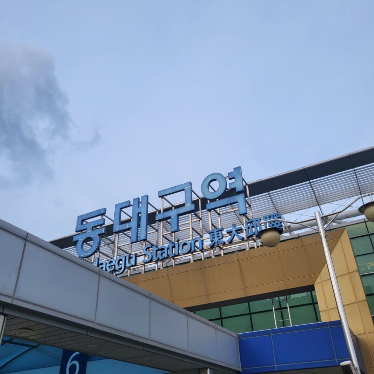  기차에서 물건을 두고 내렸다면! 동대구역 분실물 찾는법 / KTX 추석표 예매 / 동대구역 위니비니