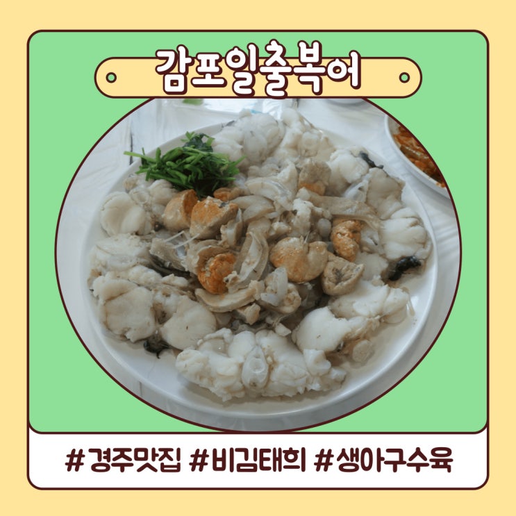 경주 맛집 감포일출복어 아구수육 비 김태희 다녀감 경주 맛집 감포일출복어 아구수육 비 김태희 다녀감