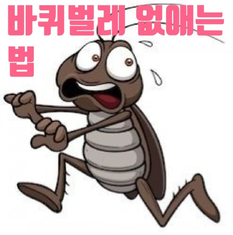  바퀴벌레 없애는 법, 바퀴벌레 퇴치 궁금하시다면 읽어주세요. (feat. 의정부, 남양주, 구리, 하남, 양주, 동두천)