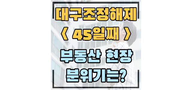  빌리브스카이 -3.3억, 범어센트럴푸르지오 -3.5억, -4.35억/월성푸르지오 4.5억, 유천포스코더샵 평당 882만원, 대구이케아의 수혜(조정해제 45일째)
