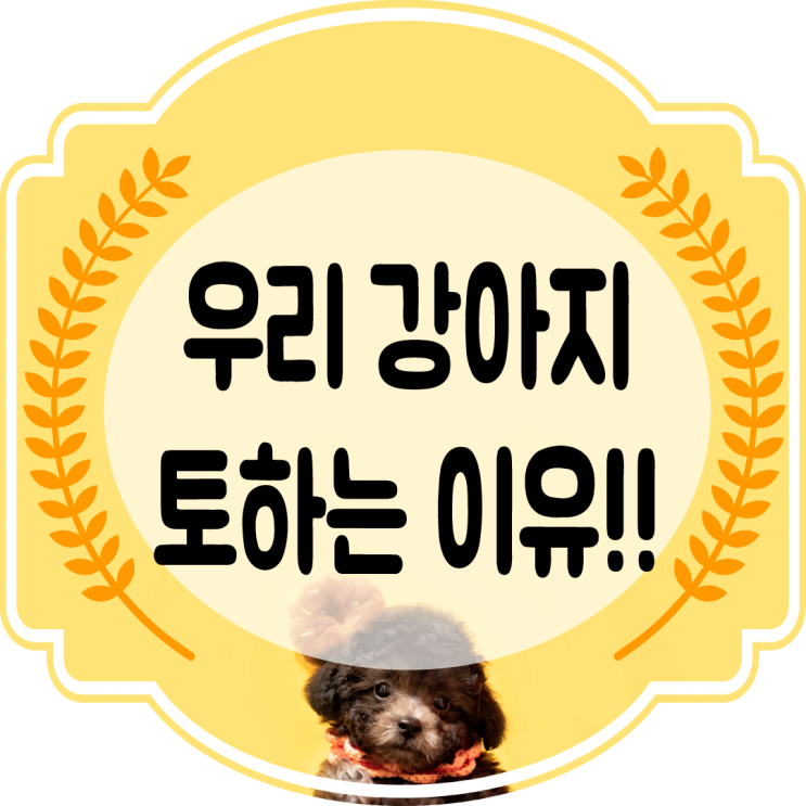 강아지가 토해요 ㅜ.ㅜ 토하는 이유를 알아보자!!