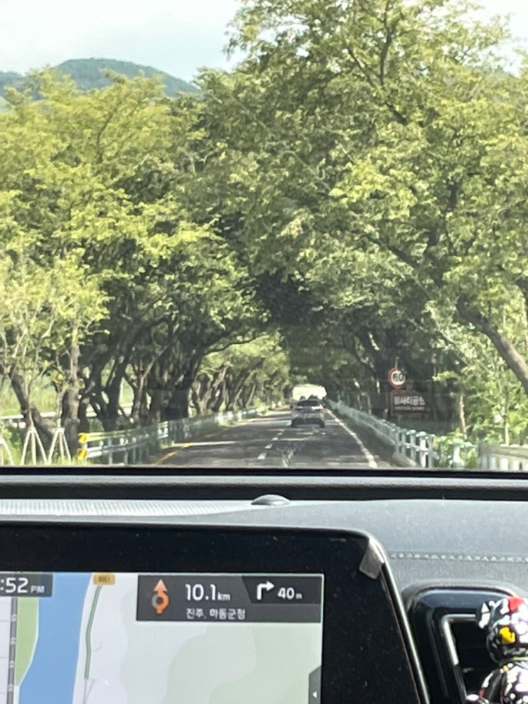  가족여행추천(당일치키) 자연 제대로 즐기기 초록초록한 하동-화개장터-하동레일바이크