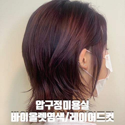  압구정미용실 프리미엄살롱 어셈블ㅣ바이올렛염색