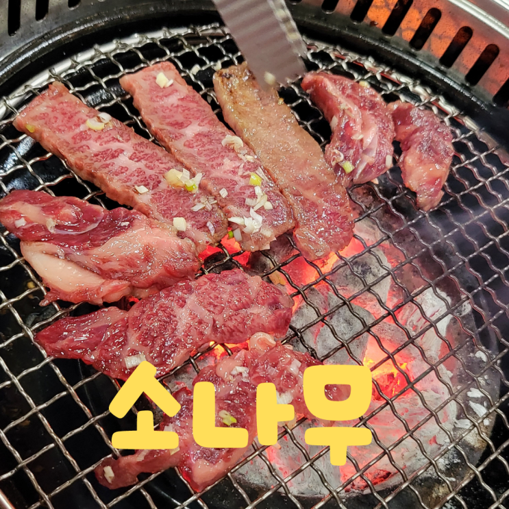  [서울 성동구] 왕십리 한우맛집 ::소나무:: 소나 먹으라구요??