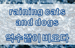 '날씨' 관련 재미있는 영어 표현