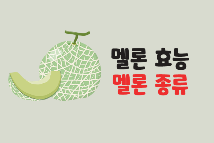  멜론 종류 머스크,허니듀 멜론 효능
