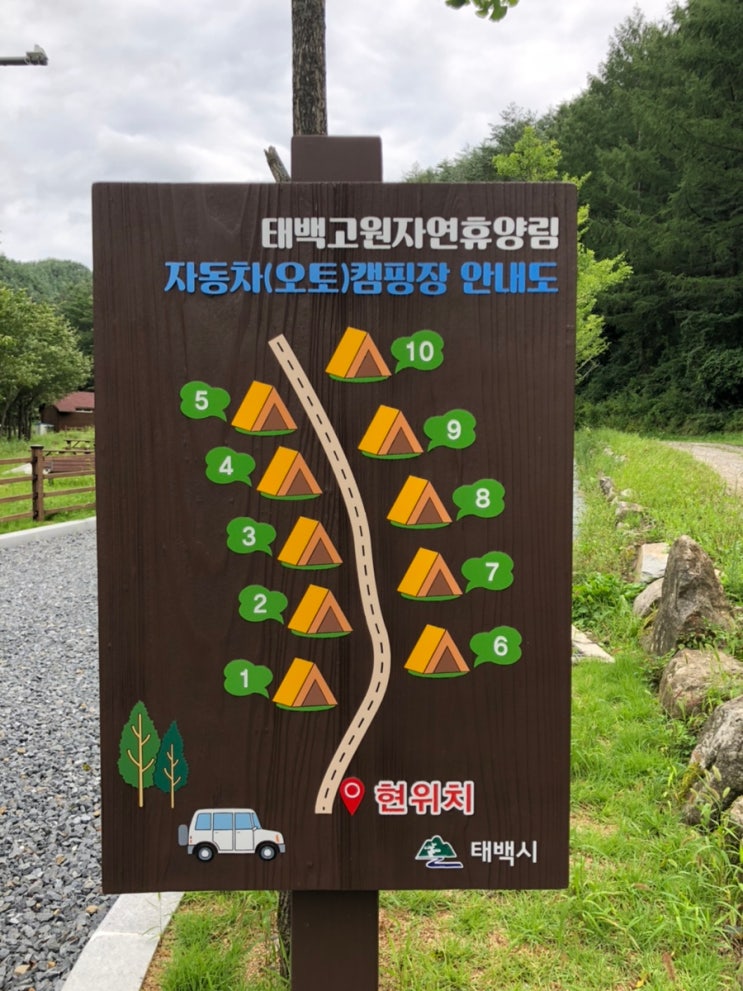 태백고원자연휴양림 캠핑장