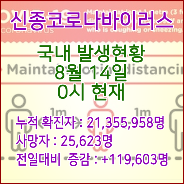  코로나19(코로나바이러스) 8월 14일 0시 신규확진자 119,603명 / 사망자 25,623명