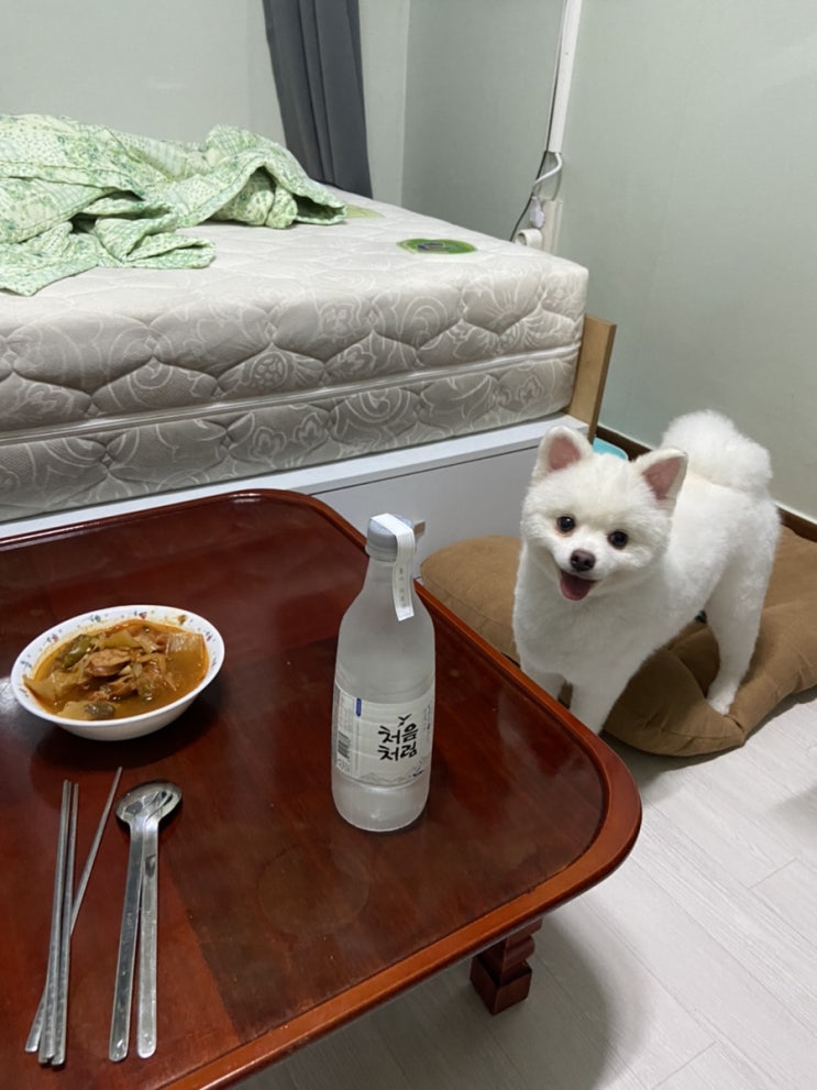  뭐 많이 걸어놓은 한 주