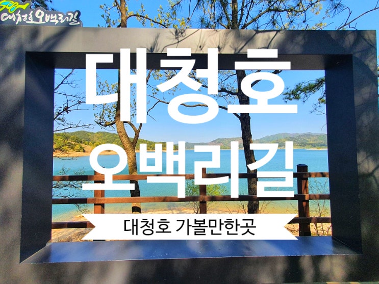 대전가볼만한곳 대청호오백리길 4구간 호반낭만길 힐링로드 강추