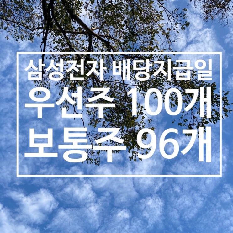  삼성전자 배당금 지급일 ［삼전우100개, 삼전96개］