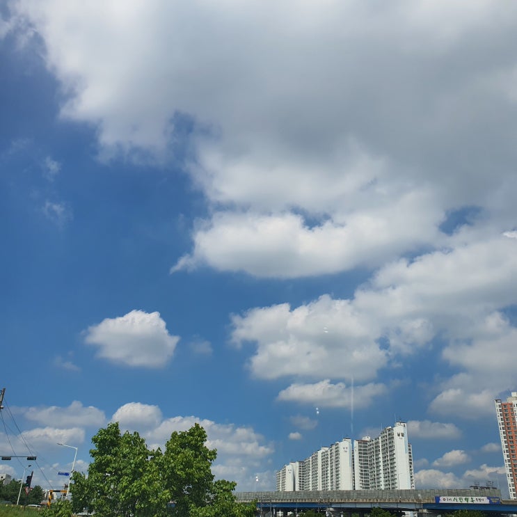  8월 셋째주 주간 일기 챌린지