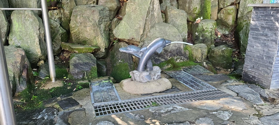 선배산 사진 2