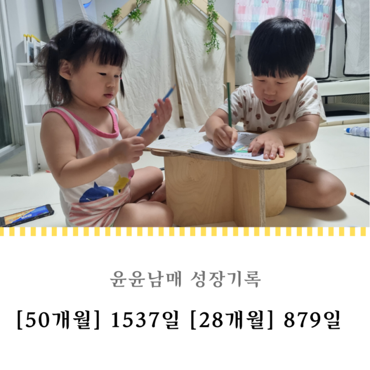  1537일 879일 : 엄마 없이도 잘노는 윤윤남매
