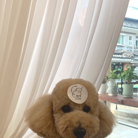 사진 3