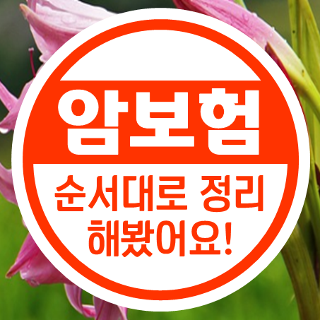  암진단금보험 순서대로 나열해 봤어요!