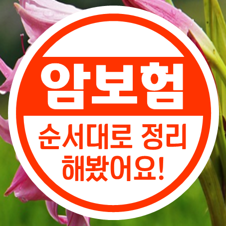 암진단금보험 순서대로 나열해 봤어요!