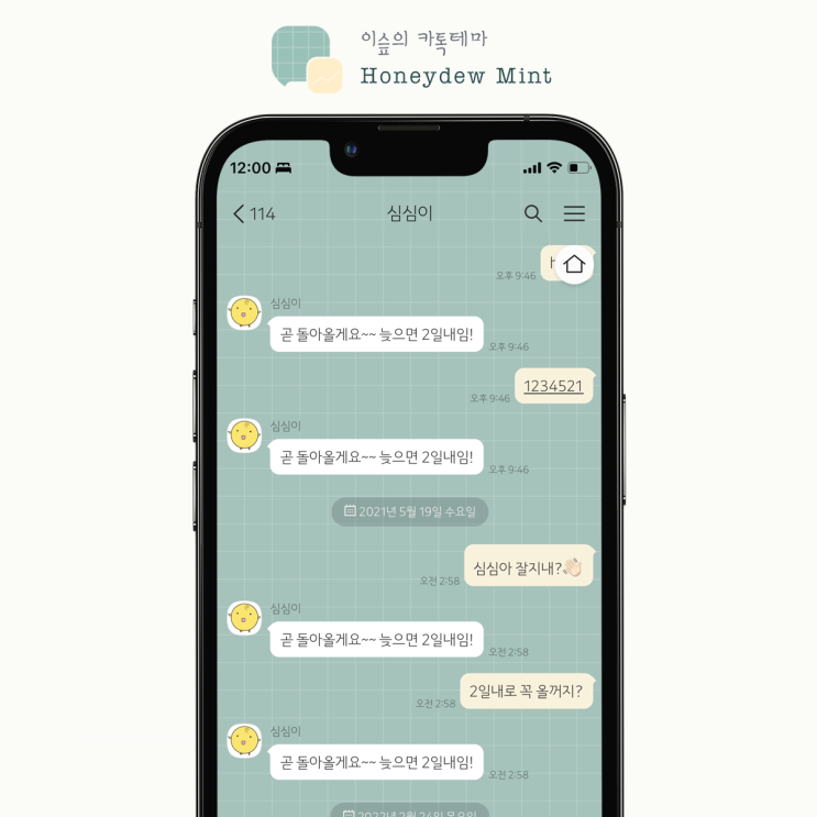 [아이폰 카톡테마] 허니듀민트 체크 (Honeydew Mint 1.0.0 iOS Ktheme)