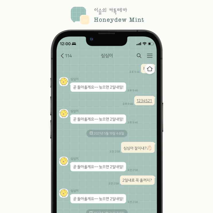  [아이폰 카톡테마] 허니듀민트 체크 (Honeydew Mint 1.0.0 iOS Ktheme)