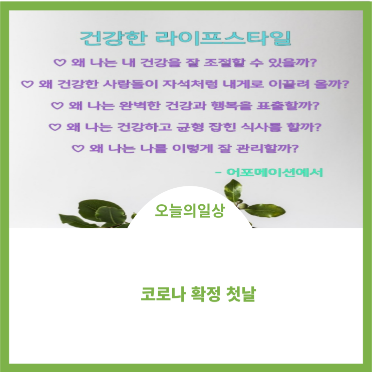  코로나 양성 확정