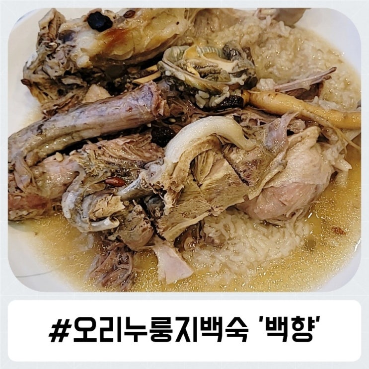양산 증산 오리 고기 맛집 백향에서 한방누룽지백숙 먹고왔어요!(feat.참숯불구이)