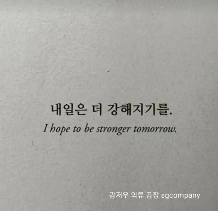  독서 소화 기록 :) 8월 독서 휴식  꼭꼭 씹어 읽기 러프한 기록