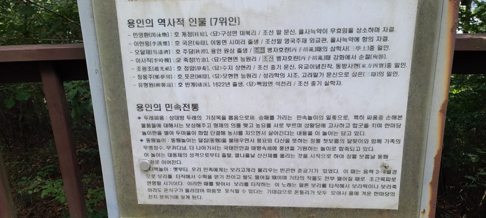 선배산 사진 4