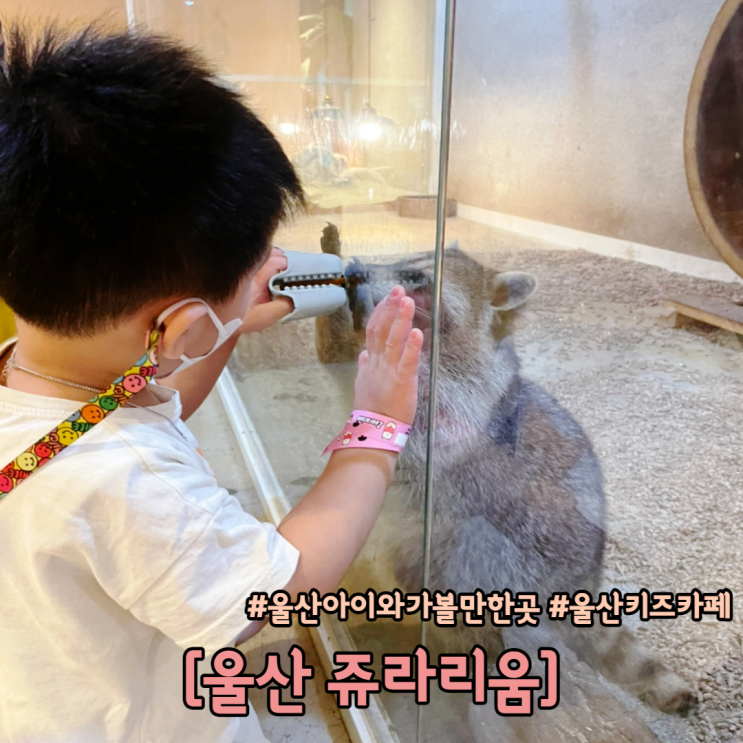  울산 아이와 가볼만한곳 울산 쥬라리움