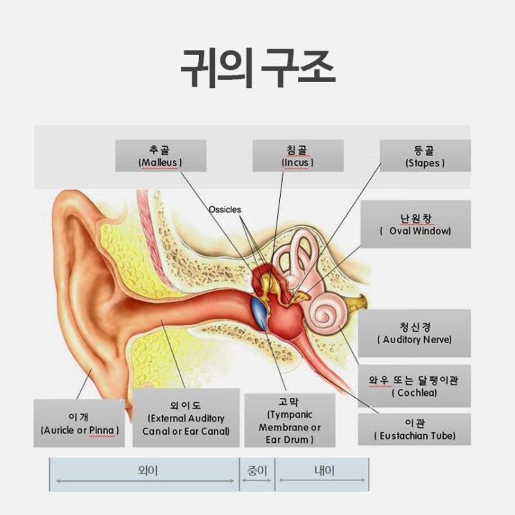  구로, 구로구 난청의 원인과 예방 그리고 주기적인 청력검사의 중요성