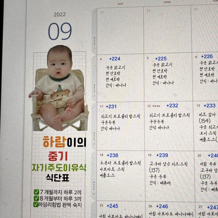  [육아 기록] D+203 중기 자기주도식 식단표 짜기 | 아기 변비 해결해주는 유산균 | 6개월 아기 오감놀이 (소근육 발달) | 6개월 아기랑 뭐하고 놀까?