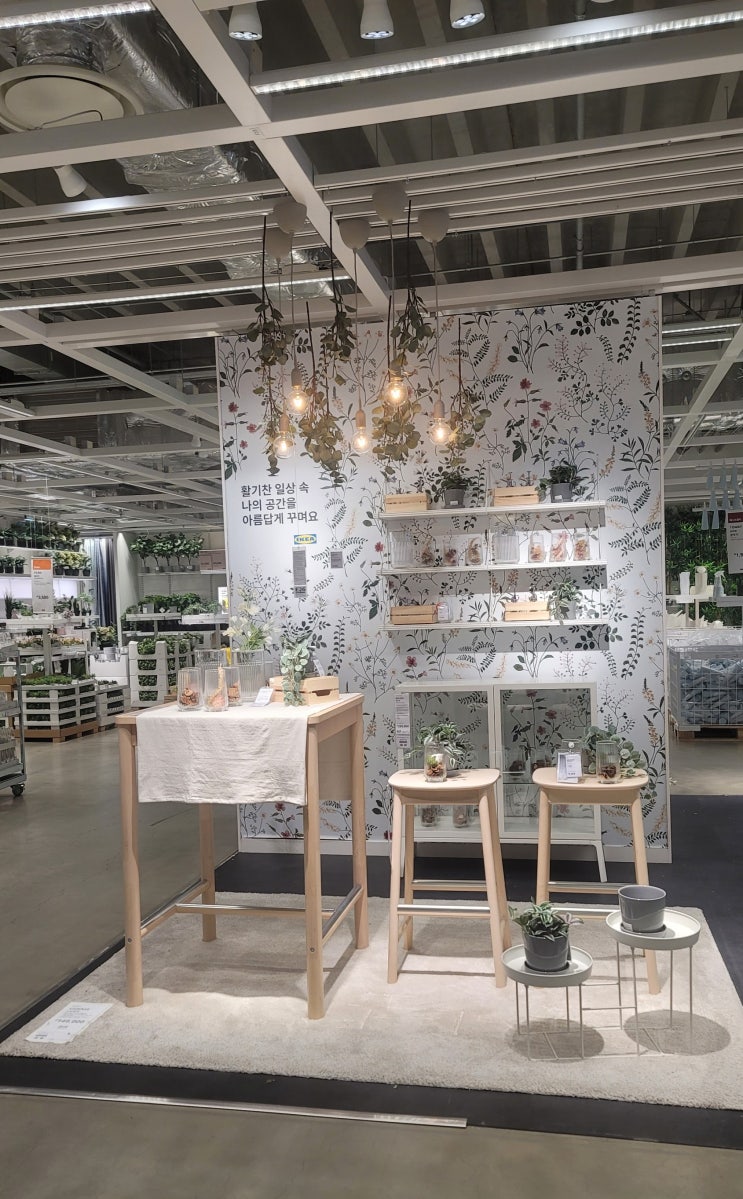  IKEA 동부산점 / 1층 / 2층 후기