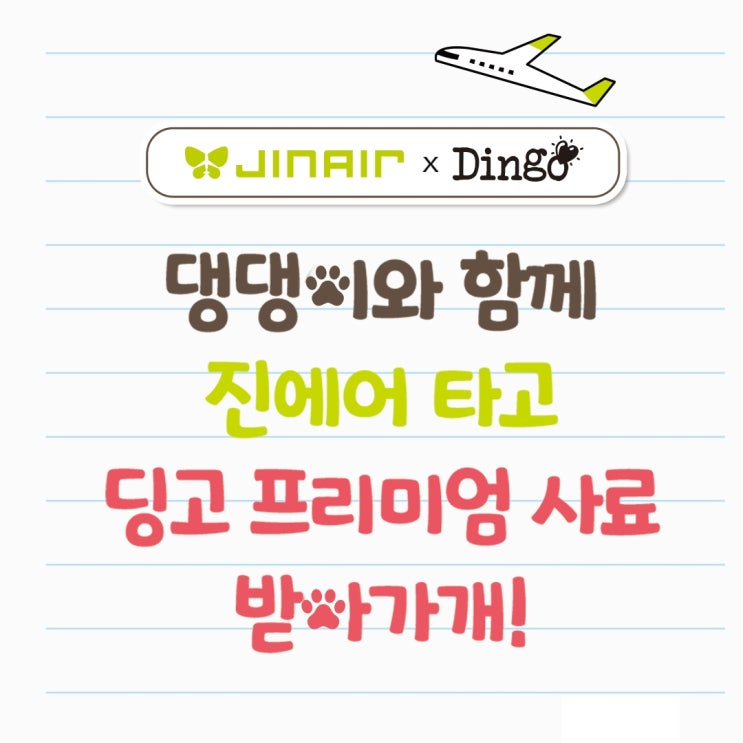  딩고나투라 & 진에어 콜라보 이벤트