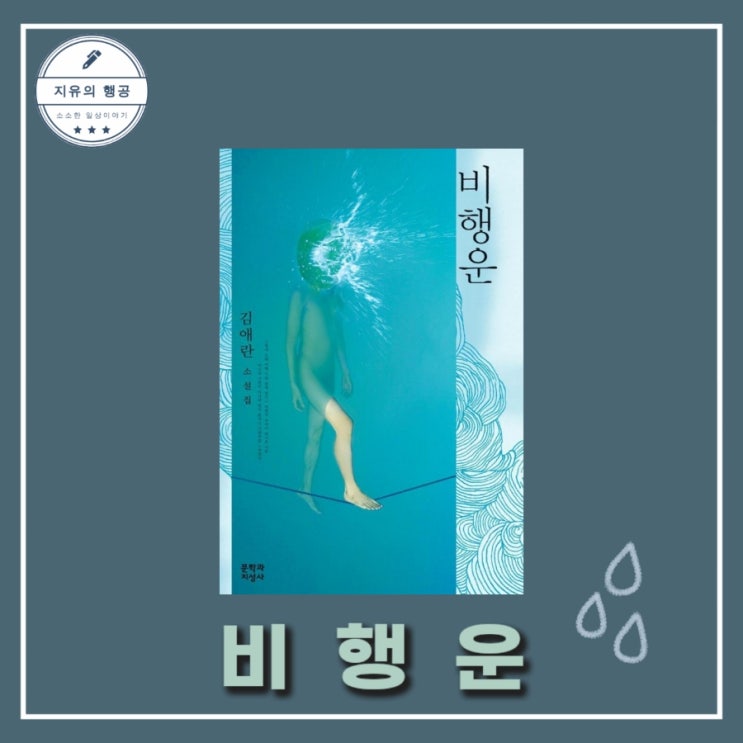  [독서] 비행운 - 작가 김애란, 출판사 문학과지성사 추천 책 베스트셀러 한국 단편소설