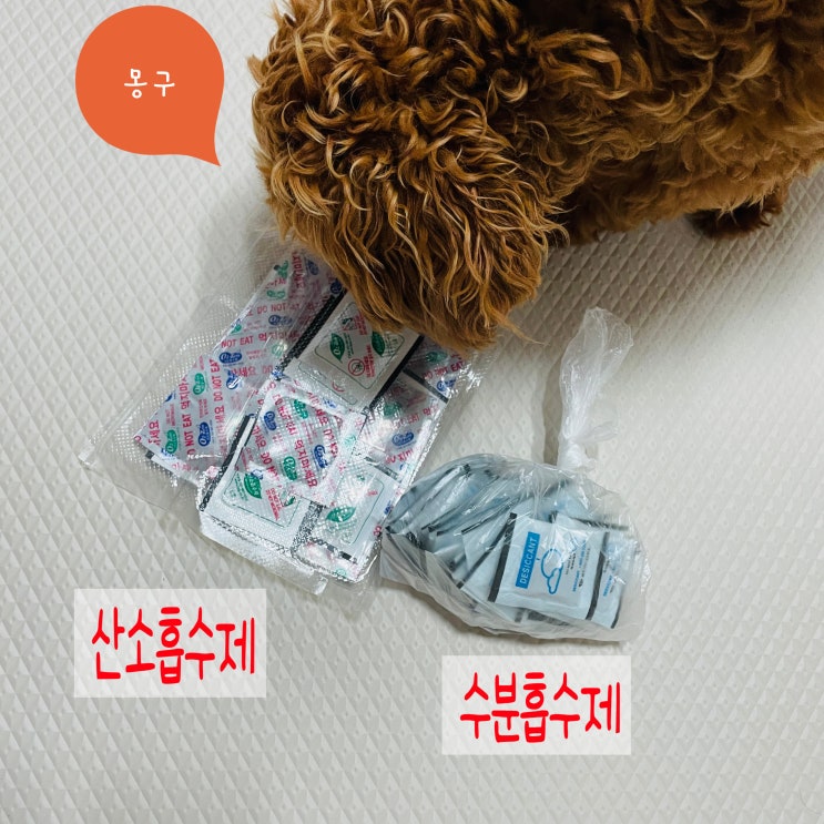  매일 먹는 우리 강아지 밥, 눅눅한 건 아니죠?(강아지 사료 보관 방법_사료소분)