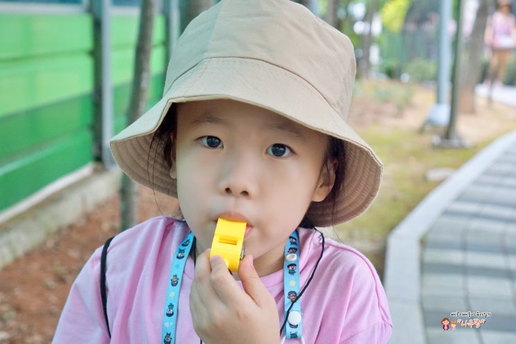  유아 캠핑놀이세트 장난감으로 개미관찰하기