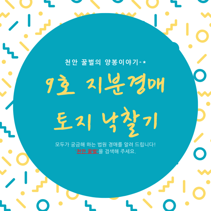  지분경매 9호 서산토지 낙찰기