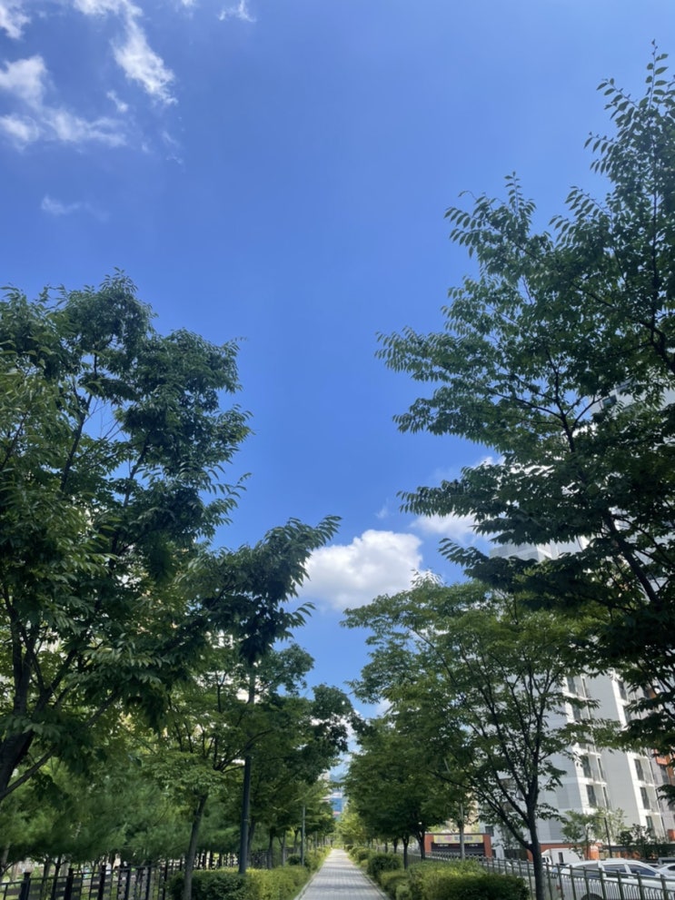  삼복더위 끝(?)