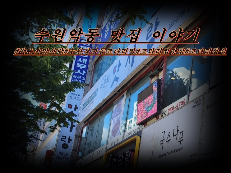  수원 정자동 박은자맛사랑 코다리 한상 점심