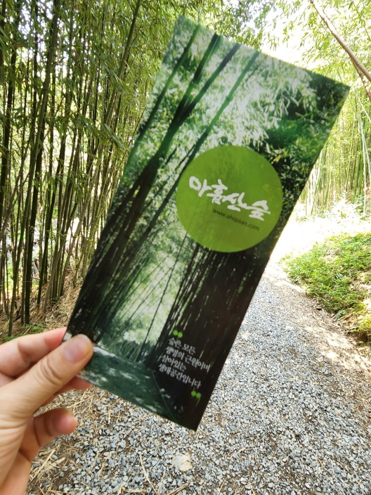  기장 아홉산숲