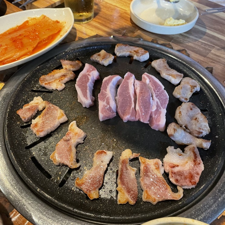  [8월 둘째주] 강아지 KTX, 아산 도마집, 카페 노커