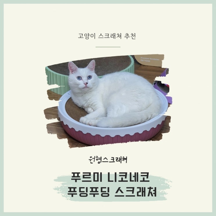  푸르미 니코네코 푸딩푸딩 스크래쳐 고양이 원형스크래처 고양이 침대로도 딱! 푸르미 벤티 캣 고양이화장실