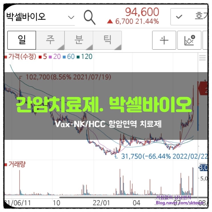  간암 치료제 대박 호재. 박셀바이오 목표가는?