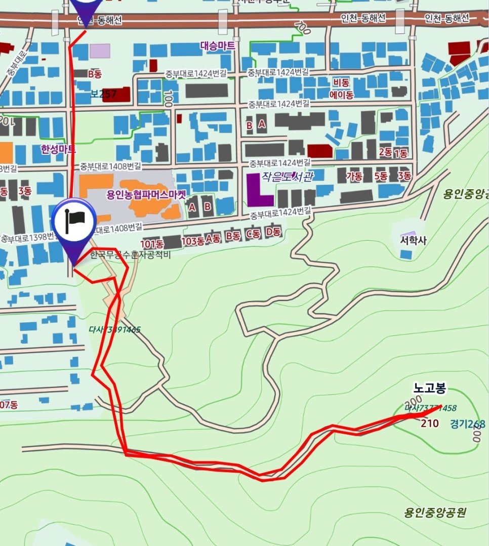 선배산 사진 1