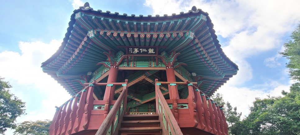 선배산 사진 5