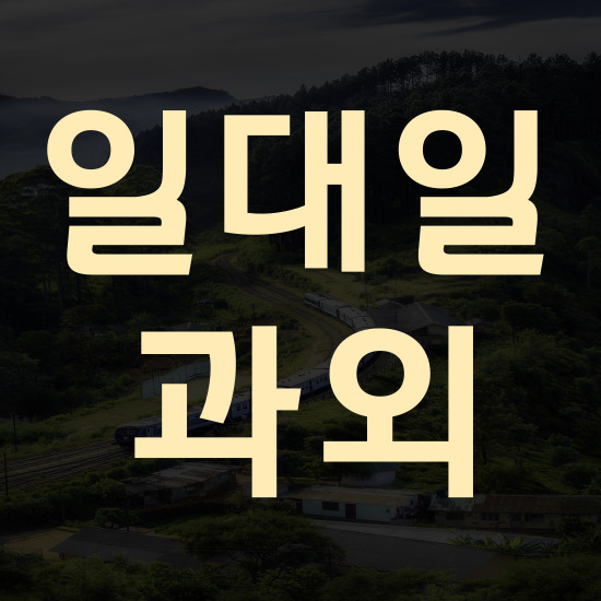 풍호동 고등 수학과외 진해 장천동 중학생 영어과외 개념 완벽하게