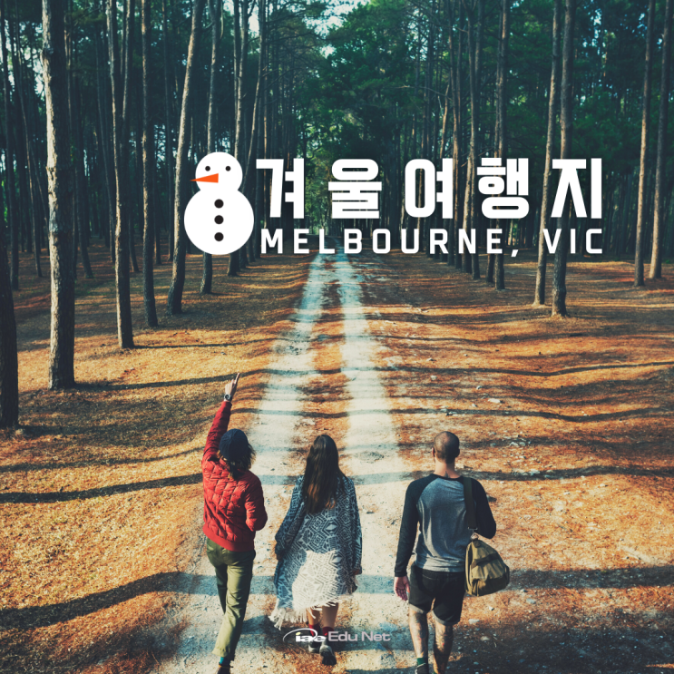 호주 멜버른 여행지 추천, 모닝턴 페닌슐라 가는 법 (iae 유학네트 멜번)