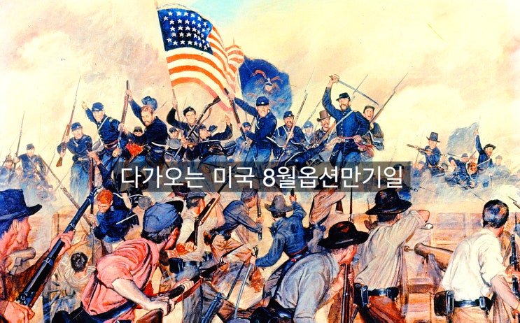  [8월미국옵션만기] 다가오는 미국 8월옵션만기일