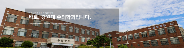 2023년 강원대학교 수의과대학 수의예과 수시모집 2023년 강원대학교 수의과대학 수의예과 수시모집